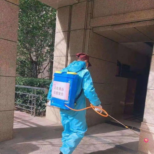 安全大過天 防寒防疫兩不誤 以“防疫健康包”為抓手，全力守護業主健康安全